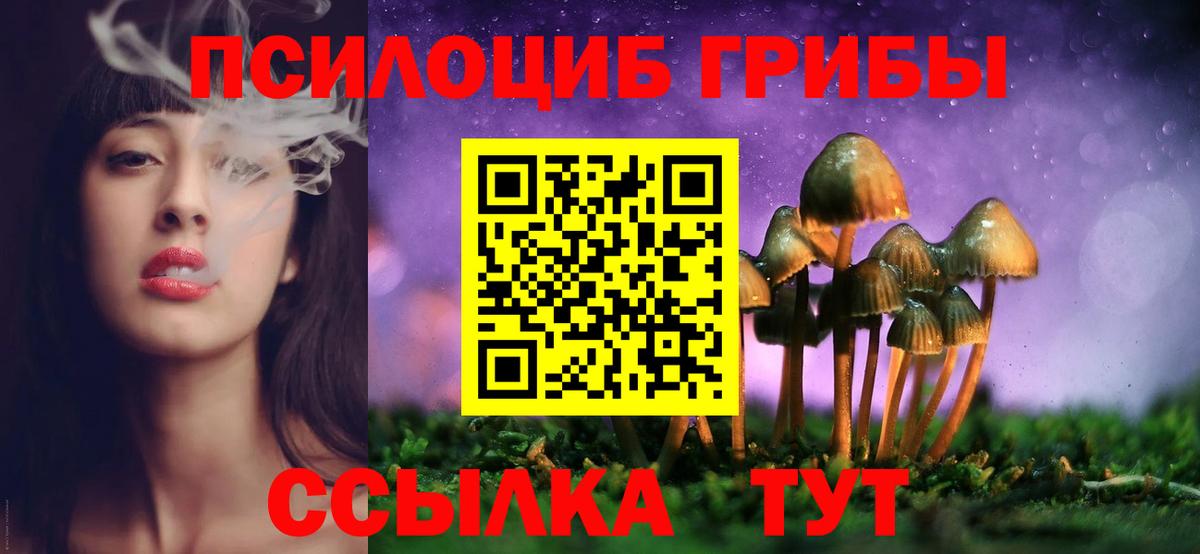 Серов  Псилоцибиновые грибы прущие грибы  Вход с VPN 